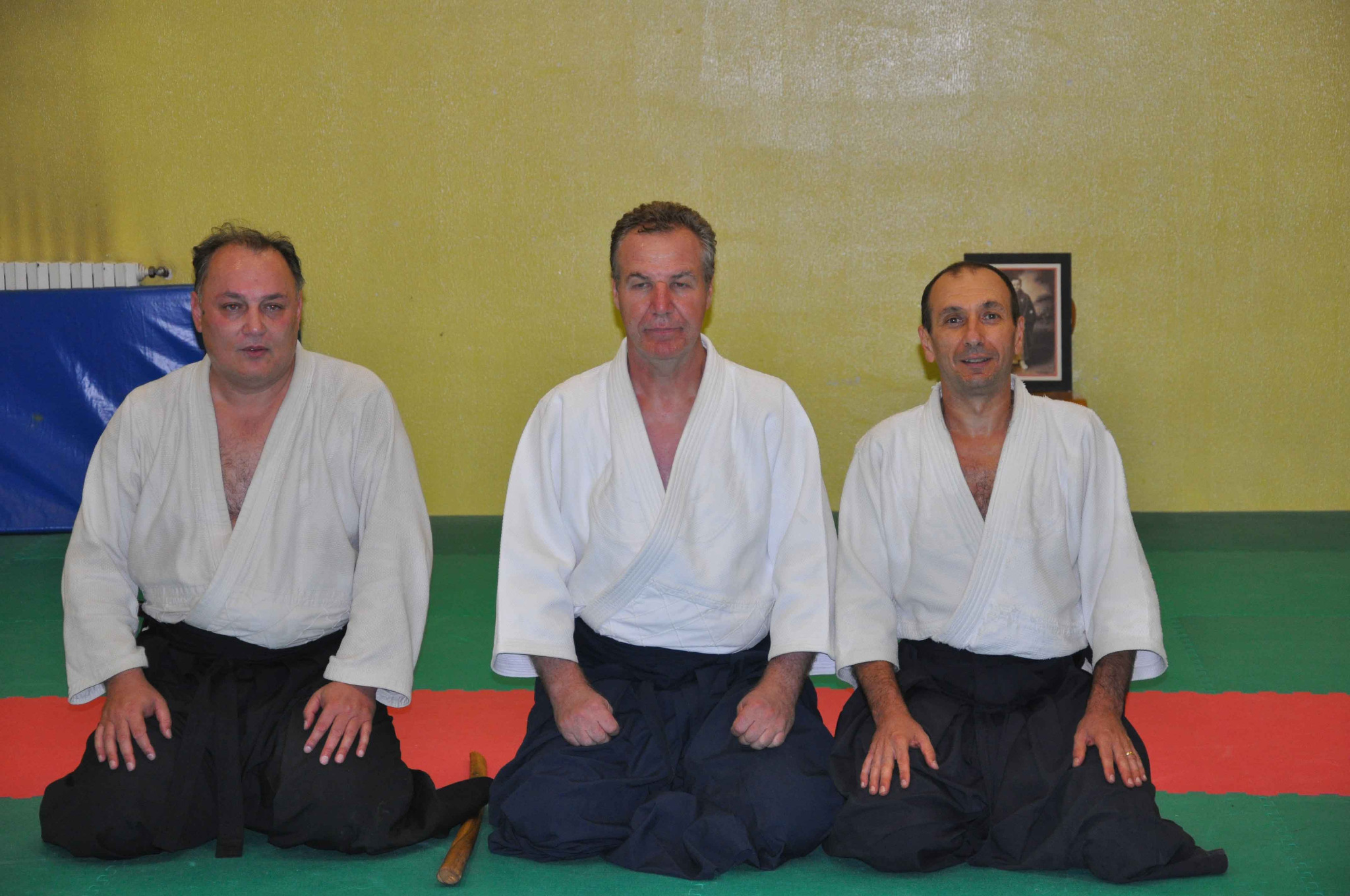 Esecuzione di una tecnica di Aikido